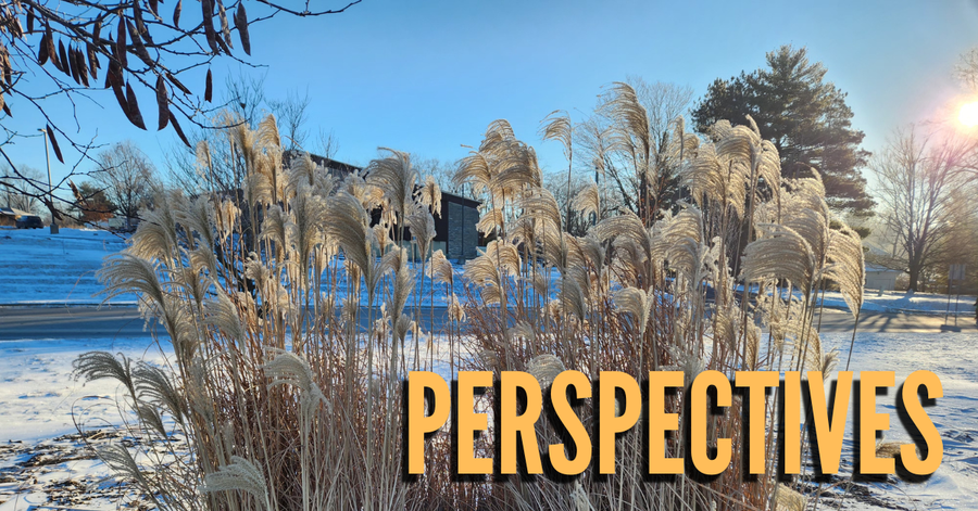February Perspectives