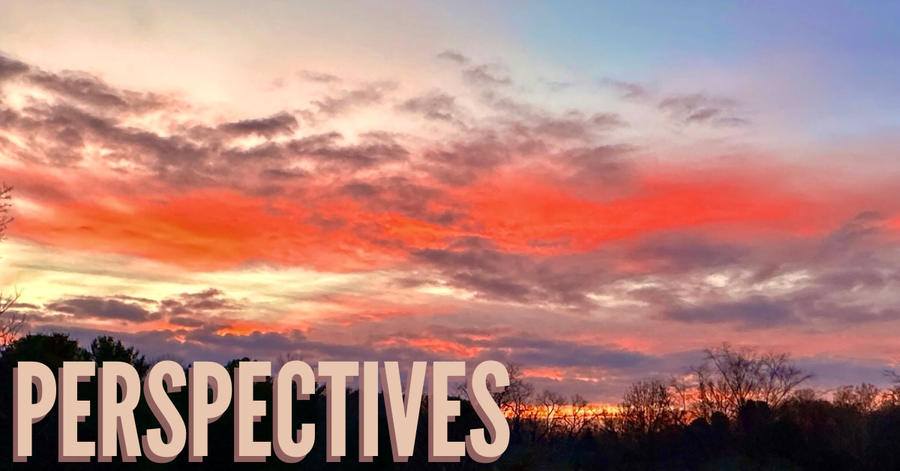 March Perspectives header Marcia Hart (1)