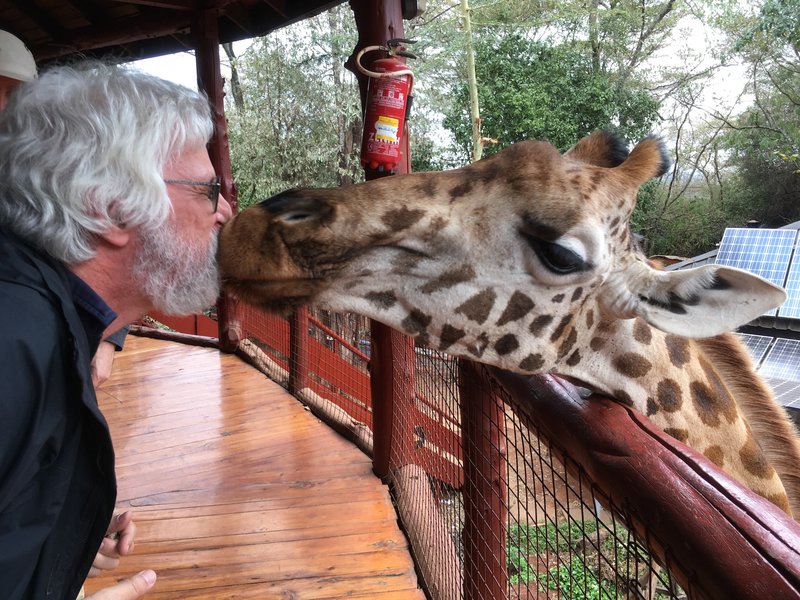 2017 Kenya trip giraffe