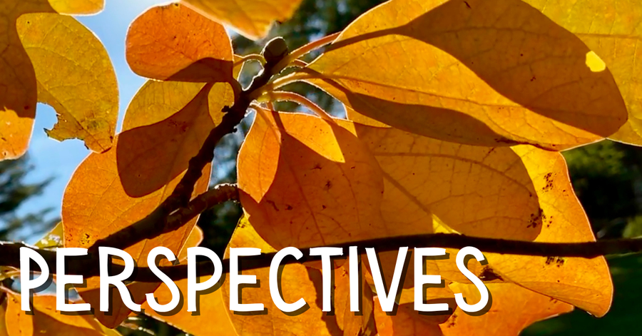 October Perspectives header Marcia Hart