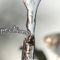 Perspectives header (1)