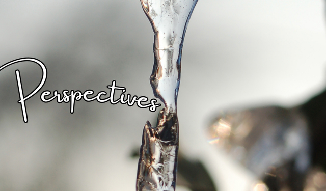 Perspectives header (1)