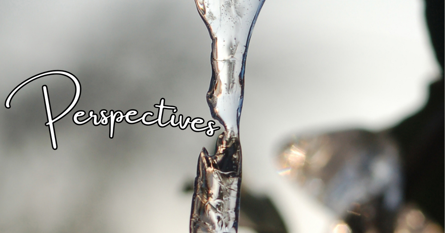 Perspectives header (1)