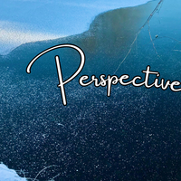 Perspectives header (2)