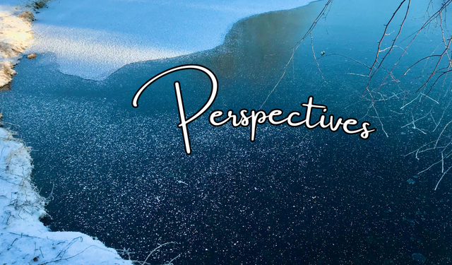 Perspectives header (2)