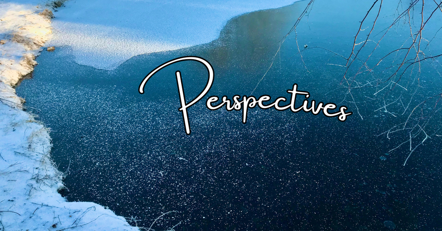 Perspectives header (2)