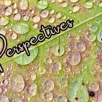 Perspectives header (3)