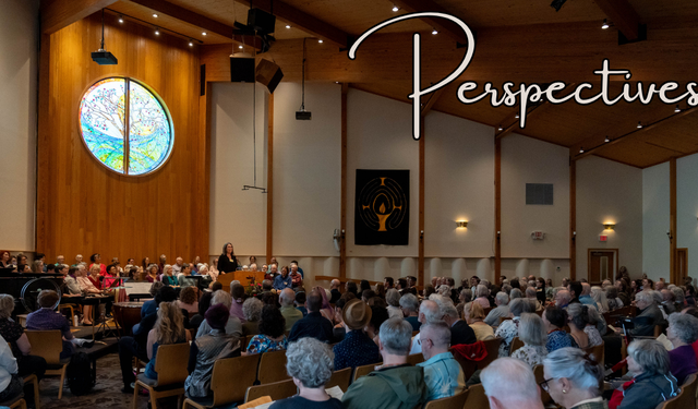 Perspectives header (9)