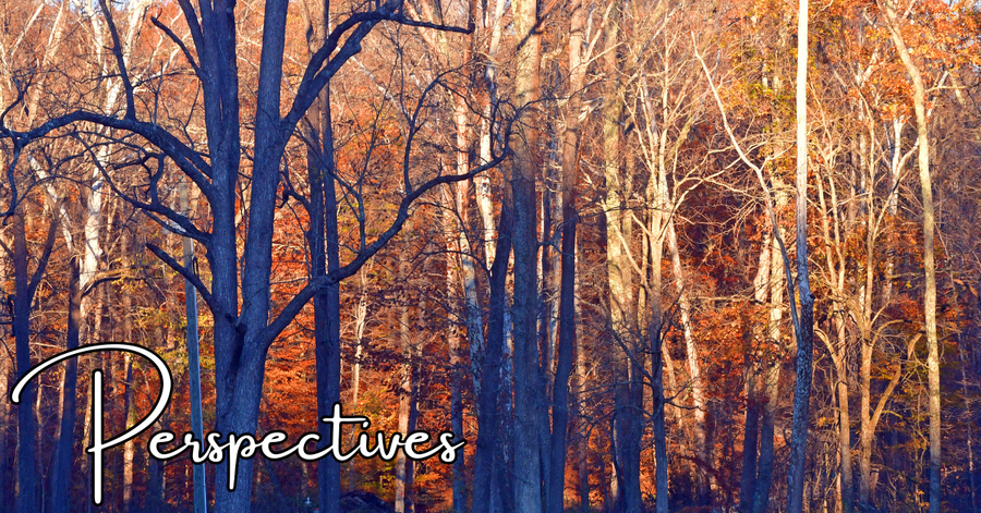 Perspectives header